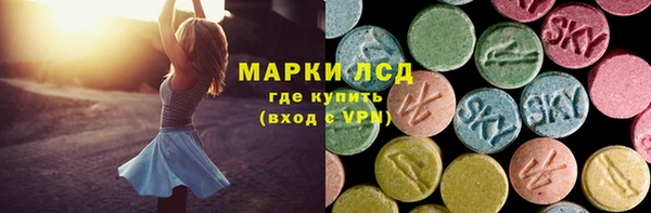 стаф Аркадак