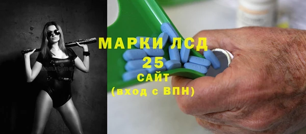 стаф Аркадак