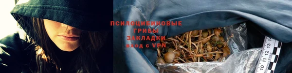 стаф Аркадак