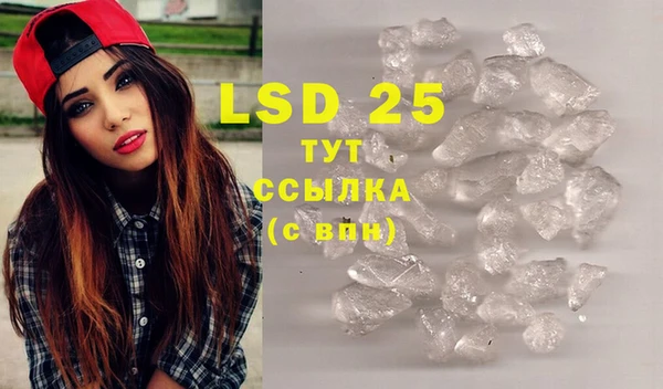 PSILOCYBIN Армянск