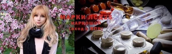 стаф Аркадак