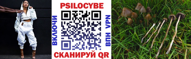 Псилоцибиновые грибы ЛСД  как найти закладки  Грязи 